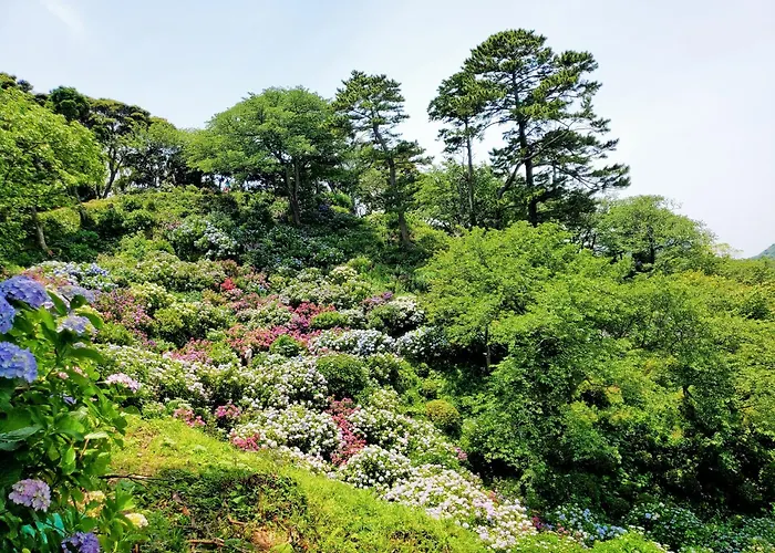 Ｋａｏｒｕ　Ｉｎｎ