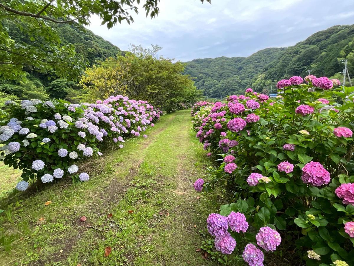 ｋａｏｒｕ　ｉｎｎ Minamiizu