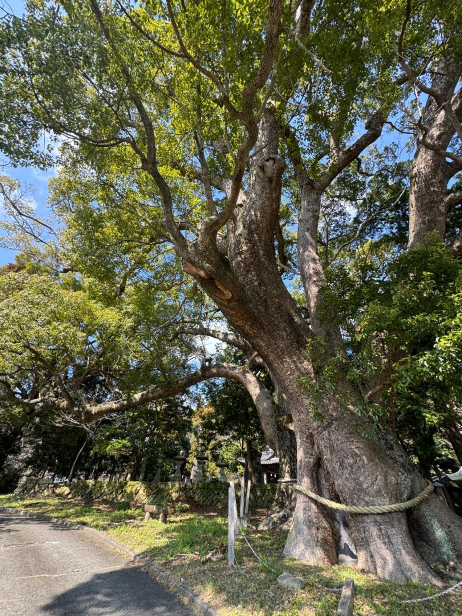 ｋａｏｒｕ　ｉｎｎ Holiday home Minamiizu